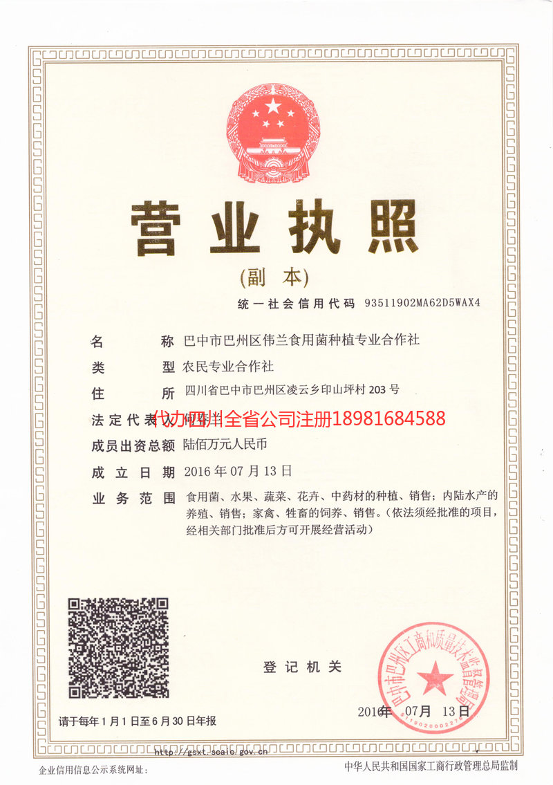 灯塔灯塔伟兰食用菌种植专业合作社